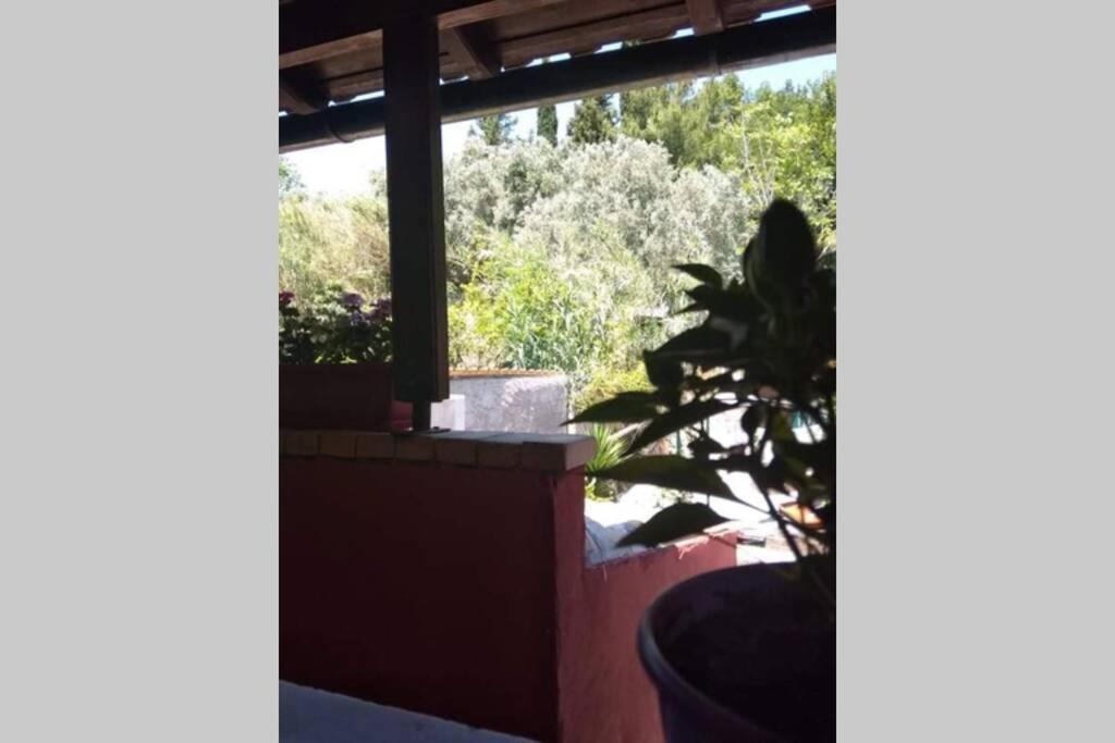 Green Hill Studio Corfu Town Buitenkant foto