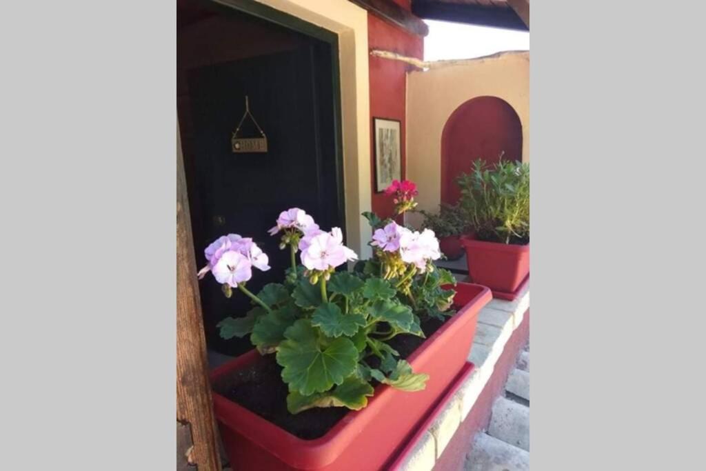 Green Hill Studio Corfu Town Buitenkant foto